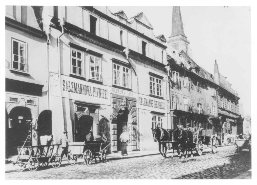 Hotel U Salzmannu Plzeň Exterior foto